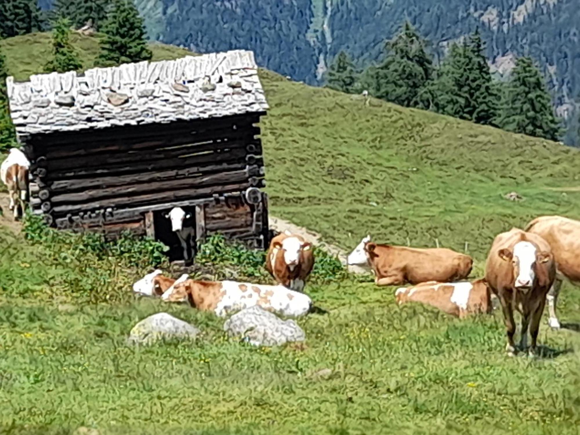 Ferienhaus Grofn Matrei in Osttirol Eksteriør billede